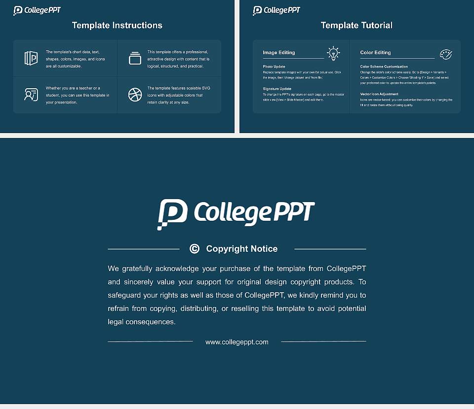 Prof. Rajendra Singh (Rajju Bhaiya) University Course/Courseware Creation PPT Template16:9 ratio PPT effect preview image5
