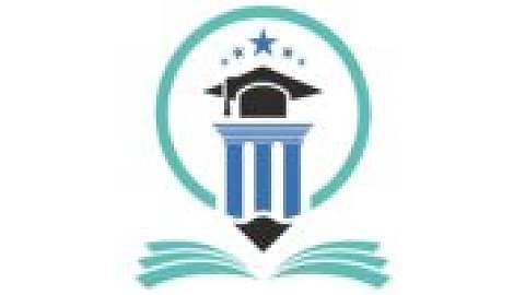 维迪亚迪普大学