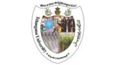 Telangana University