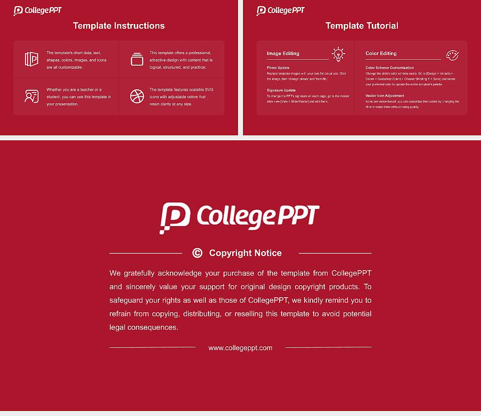 Vidyashilp University Course/Courseware Creation PPT Template16:9 ratio PPT effect preview image5