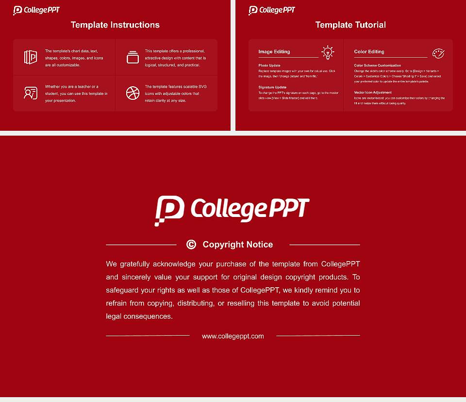 Vikram University Course/Courseware Creation PPT Template16:9 ratio PPT effect preview image5