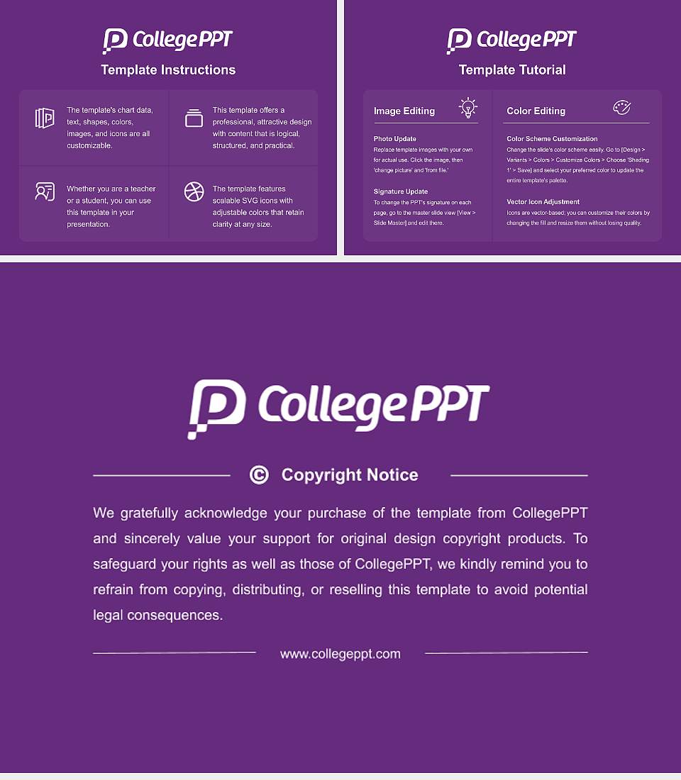 University of Delhi Course/Courseware Creation PPT Template4:3 ratio PPT effect preview image5