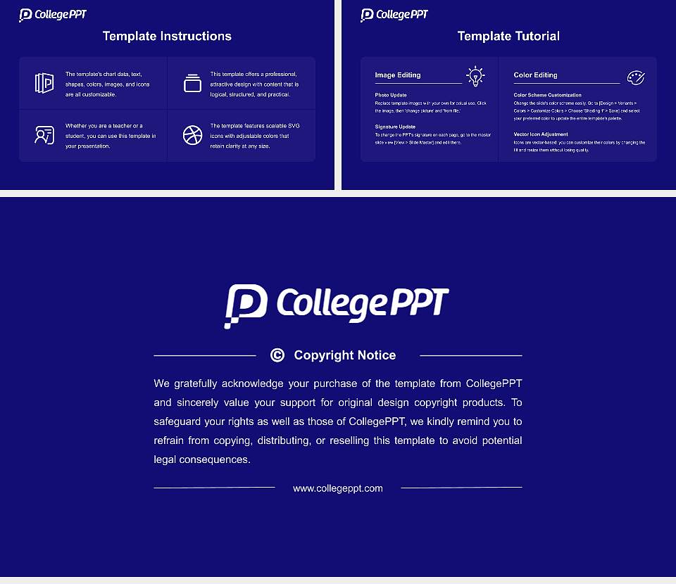 Vijayanagara Sri Krishnadevaraya University Course/Courseware Creation PPT Template16:9 ratio PPT effect preview image5