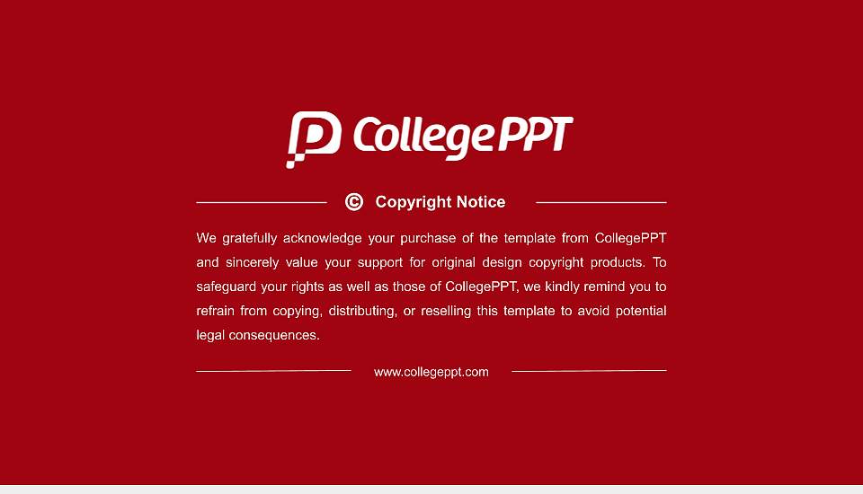 Vikram University Resume PPT Template16:9 ratio PPT effect preview image5