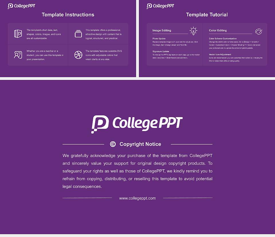 University of Delhi Course/Courseware Creation PPT Template16:9 ratio PPT effect preview image5