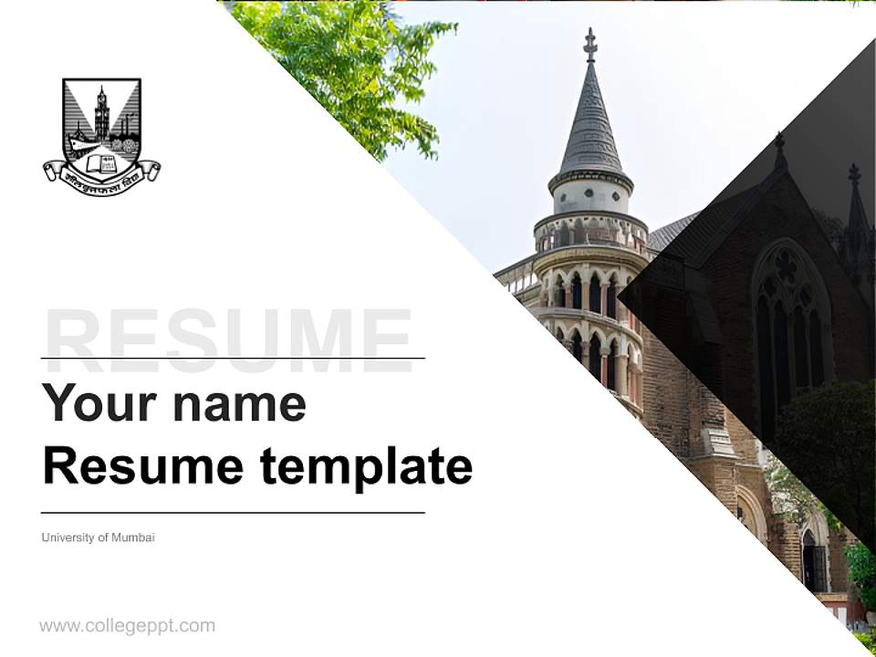 University of Mumbai Resume PPT Template4:3 ratio PPT effect preview image5