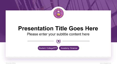 University of Delhi National Scholarship Defense PPT Template
