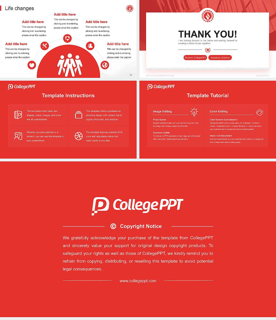 Symbiosis Skills and Professional University National Scholarship Defense PPT Template16:9 ratio PPT effect preview image4
