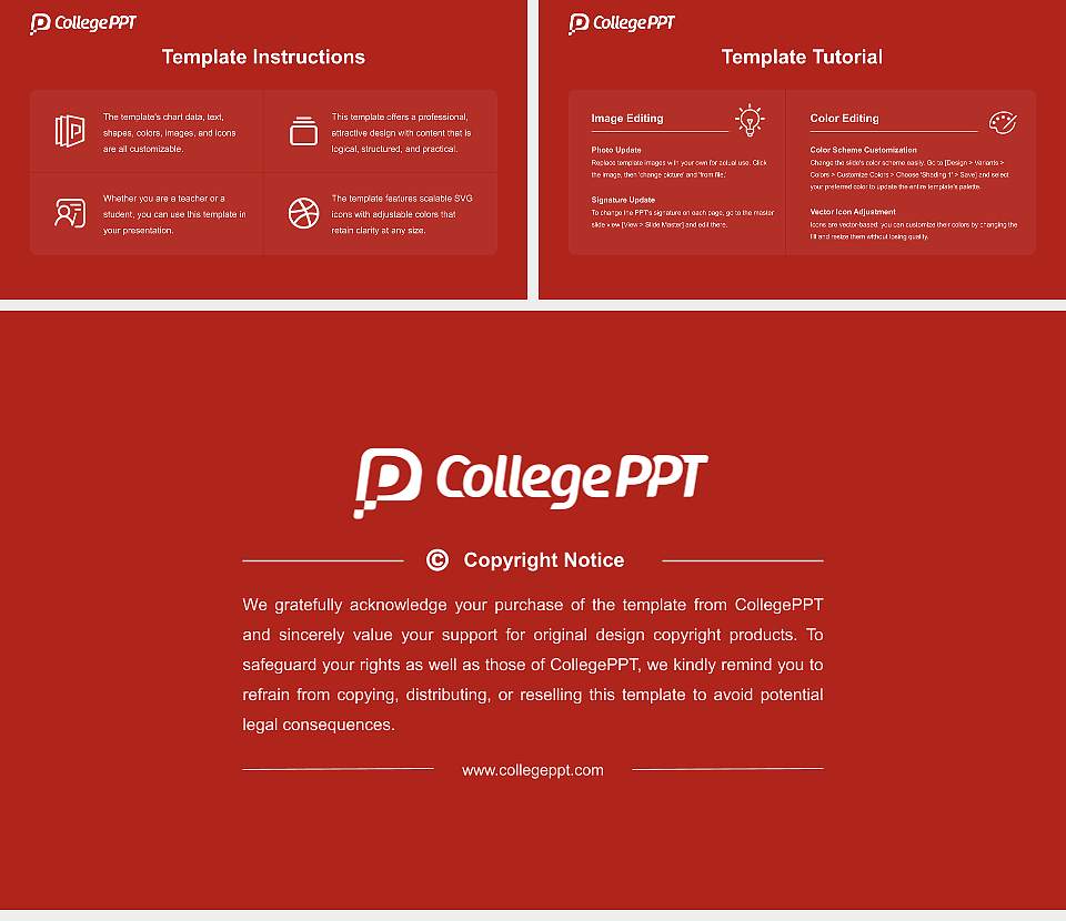 Symbiosis International Course/Courseware Creation PPT Template16:9 ratio PPT effect preview image5
