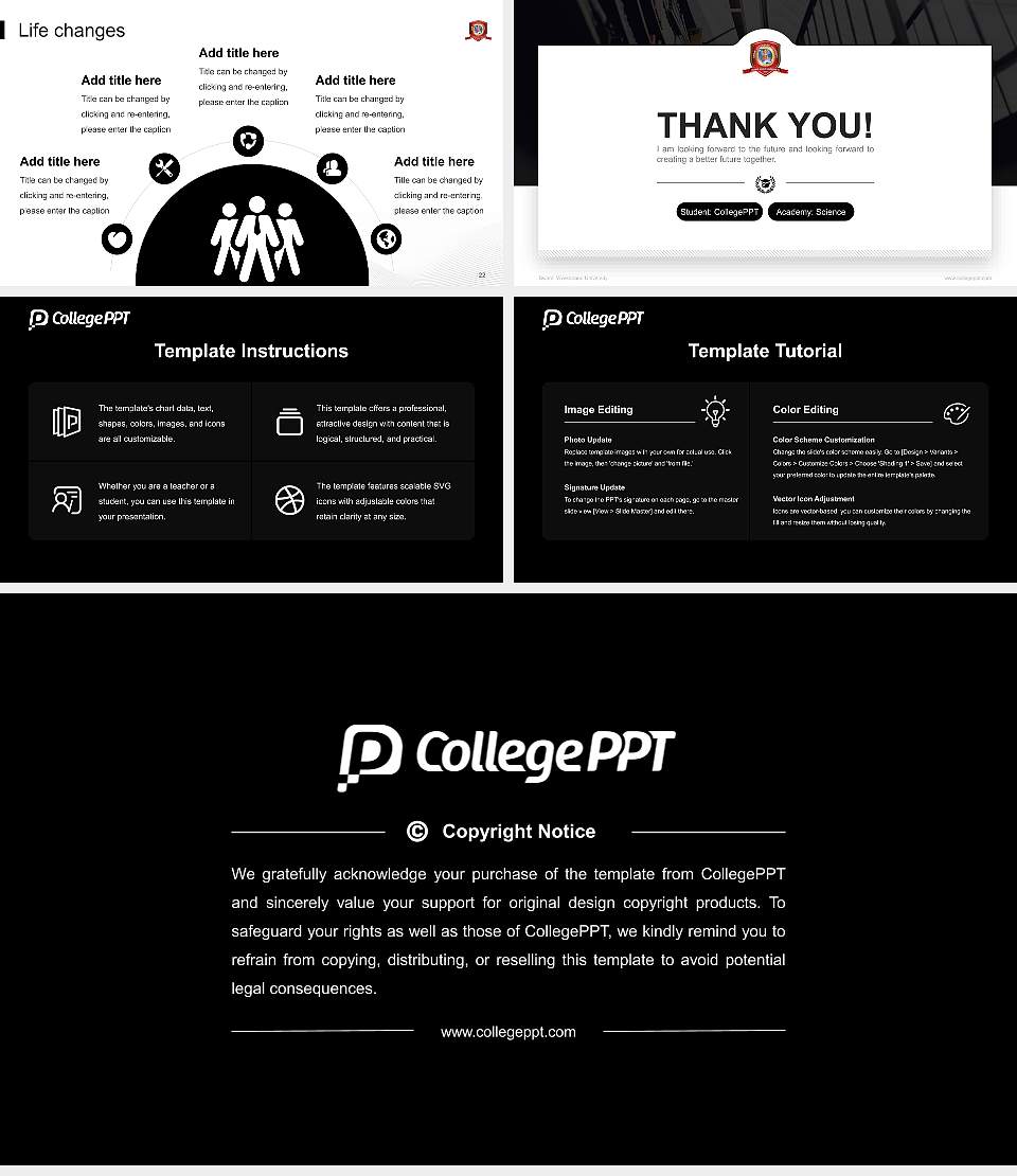 Swami Vivekanand University National Scholarship Defense PPT Template16:9 ratio PPT effect preview image4
