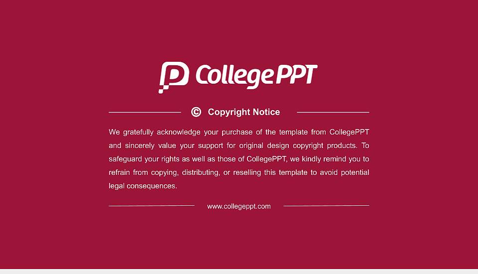 Tamil University Resume PPT Template16:9 ratio PPT effect preview image5