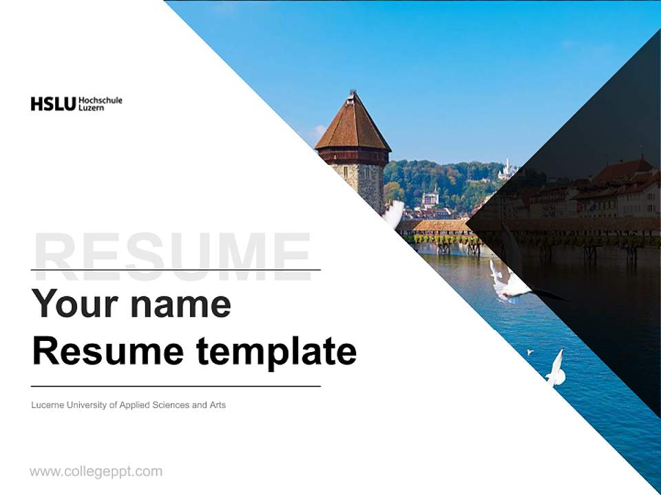 Lucerne University of Applied Sciences and Arts Resume PPT Template4:3 ratio PPT effect preview image5