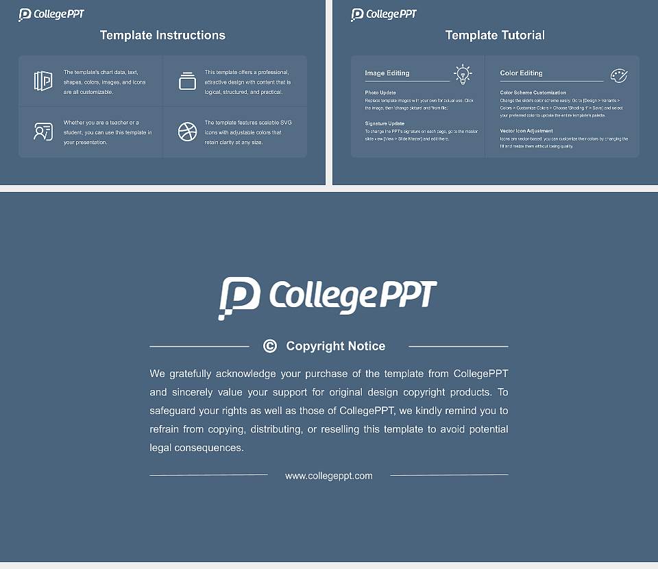 Bern University of Applied Sciences Course/Courseware Creation PPT Template16:9 ratio PPT effect preview image5