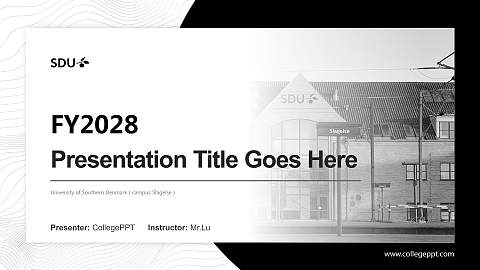 University of Southern Denmark（campus Slagelse） Academic Presentation/Research Findings Report PPT Template