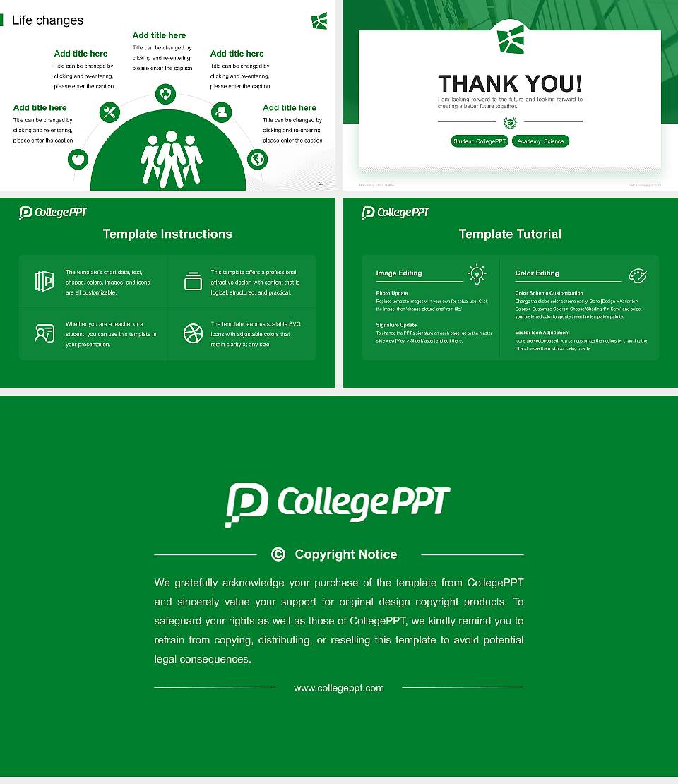 University of St. Gallen National Scholarship Defense PPT Template16:9 ratio PPT effect preview image4