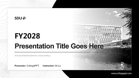 University of Southern Denmark（campus Kolding） Academic Presentation/Research Findings Report PPT Template