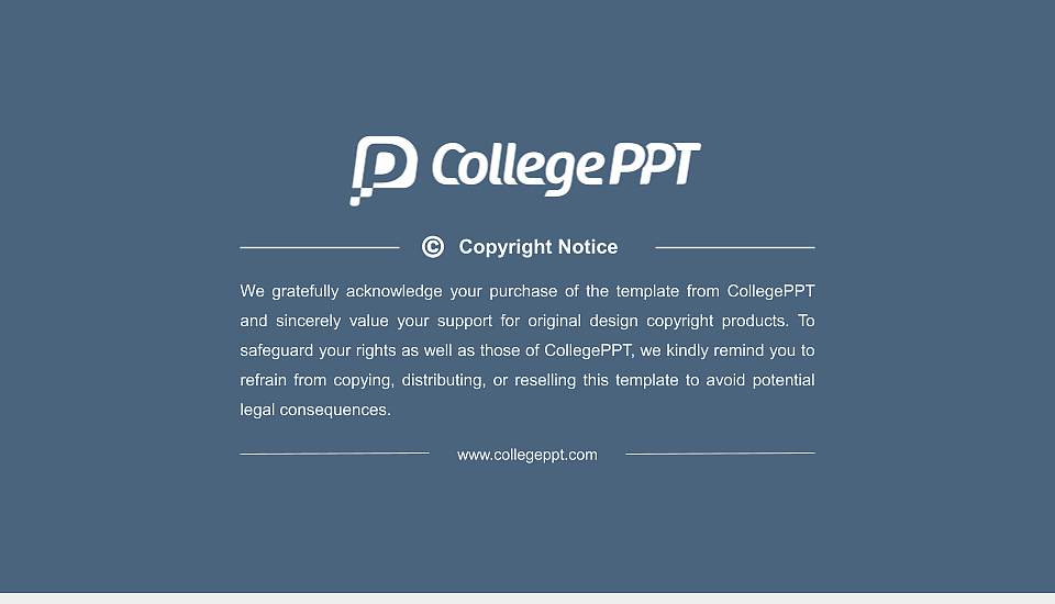 Bern University of Applied Sciences General PPT Template16:9 ratio PPT effect preview image6