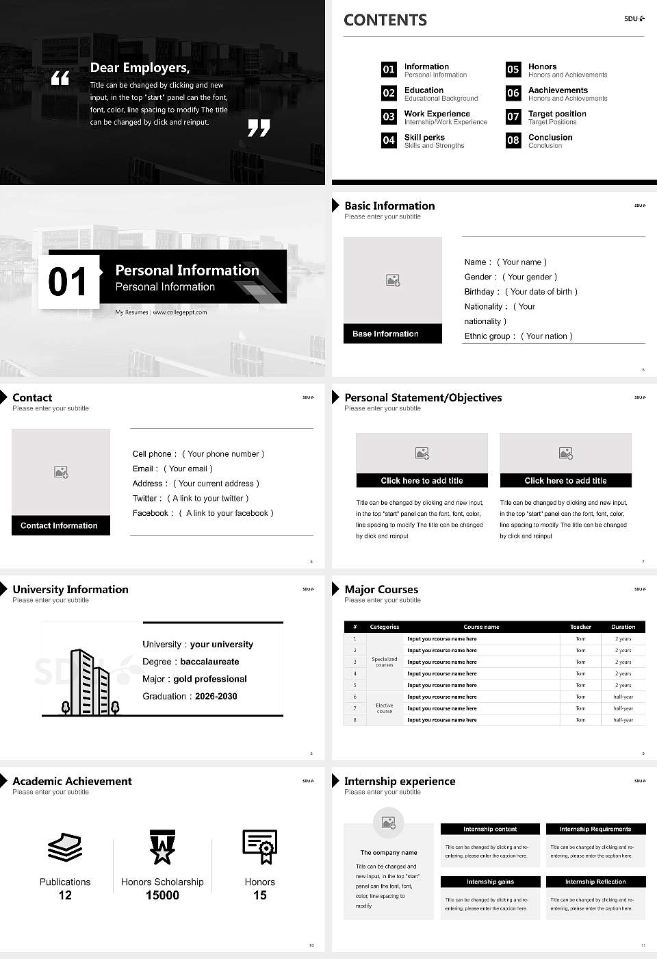 University of Southern Denmark Resume PPT Template16:9 ratio PPT effect preview image2