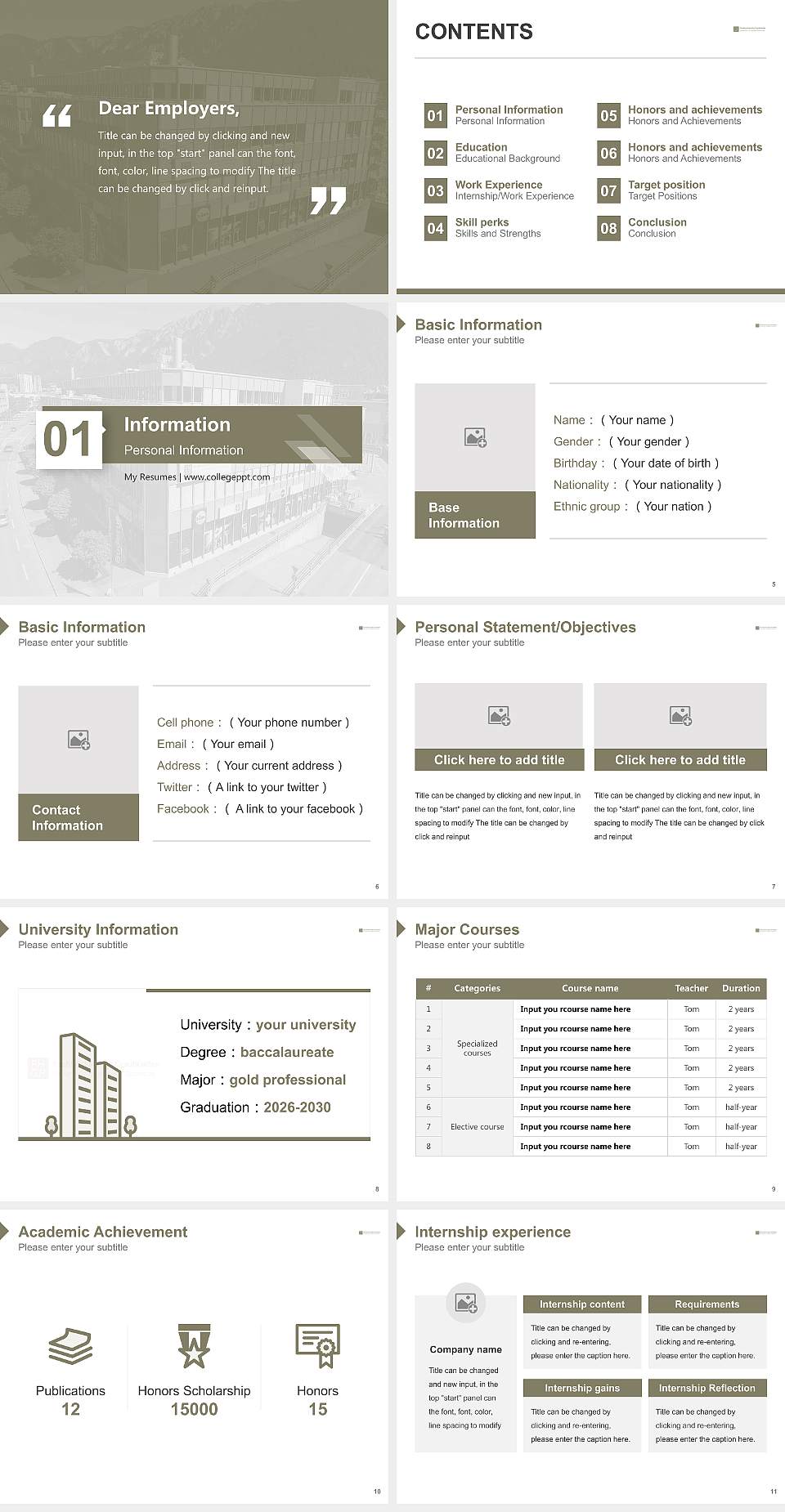 University of Applied Sciences of the Grisons Resume PPT Template4:3 ratio PPT effect preview image2