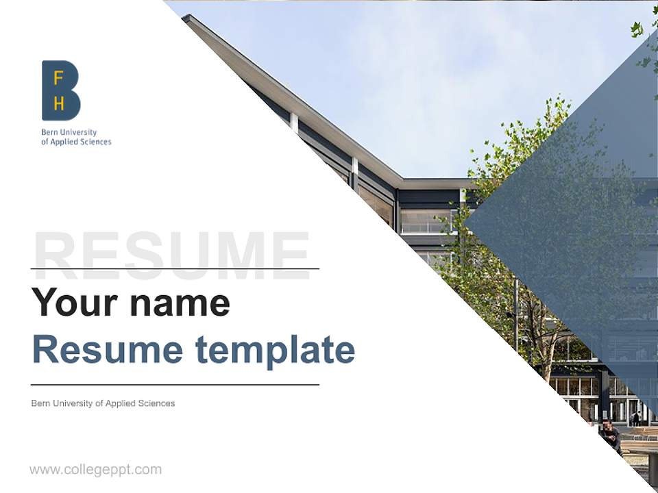Bern University of Applied Sciences Resume PPT Template4:3 ratio PPT effect preview image5