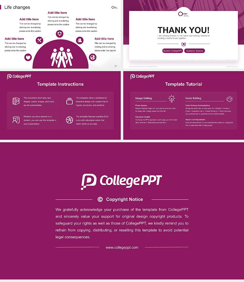 Eastern Switzerland University of Applied Sciences National Scholarship Defense PPT Template16:9 ratio PPT effect preview image4