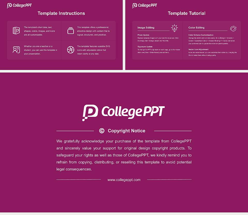 Eastern Switzerland University of Applied Sciences Course/Courseware Creation PPT Template16:9 ratio PPT effect preview image5