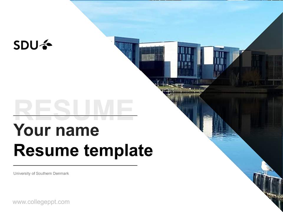 University of Southern Denmark Resume PPT Template4:3 ratio PPT effect preview image5