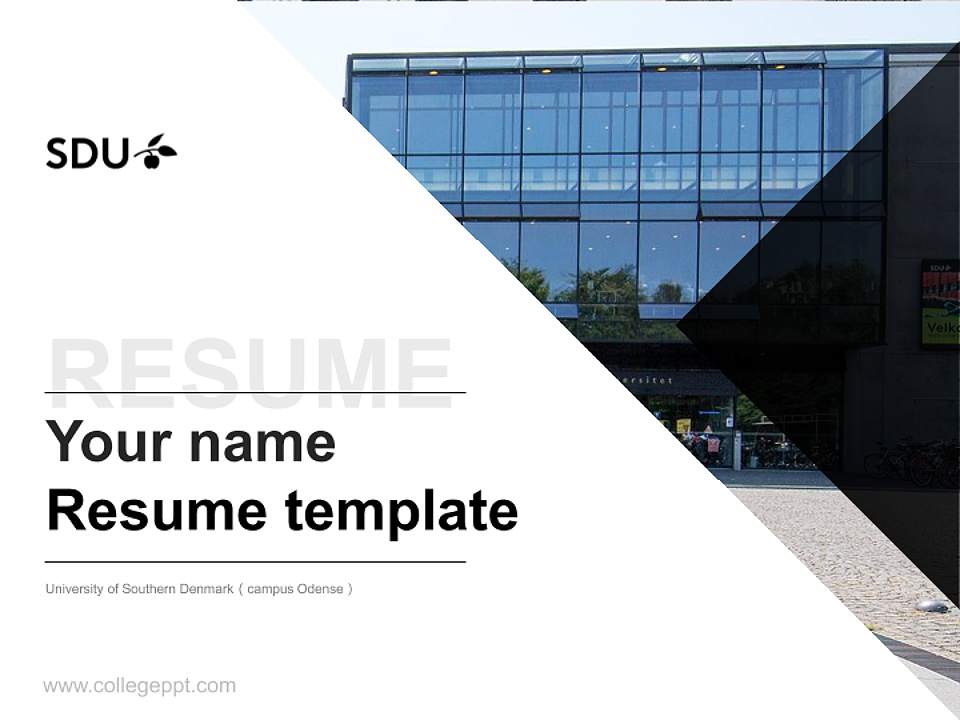 University of Southern Denmark（campus Odense） Resume PPT Template4:3 ratio PPT effect preview image5