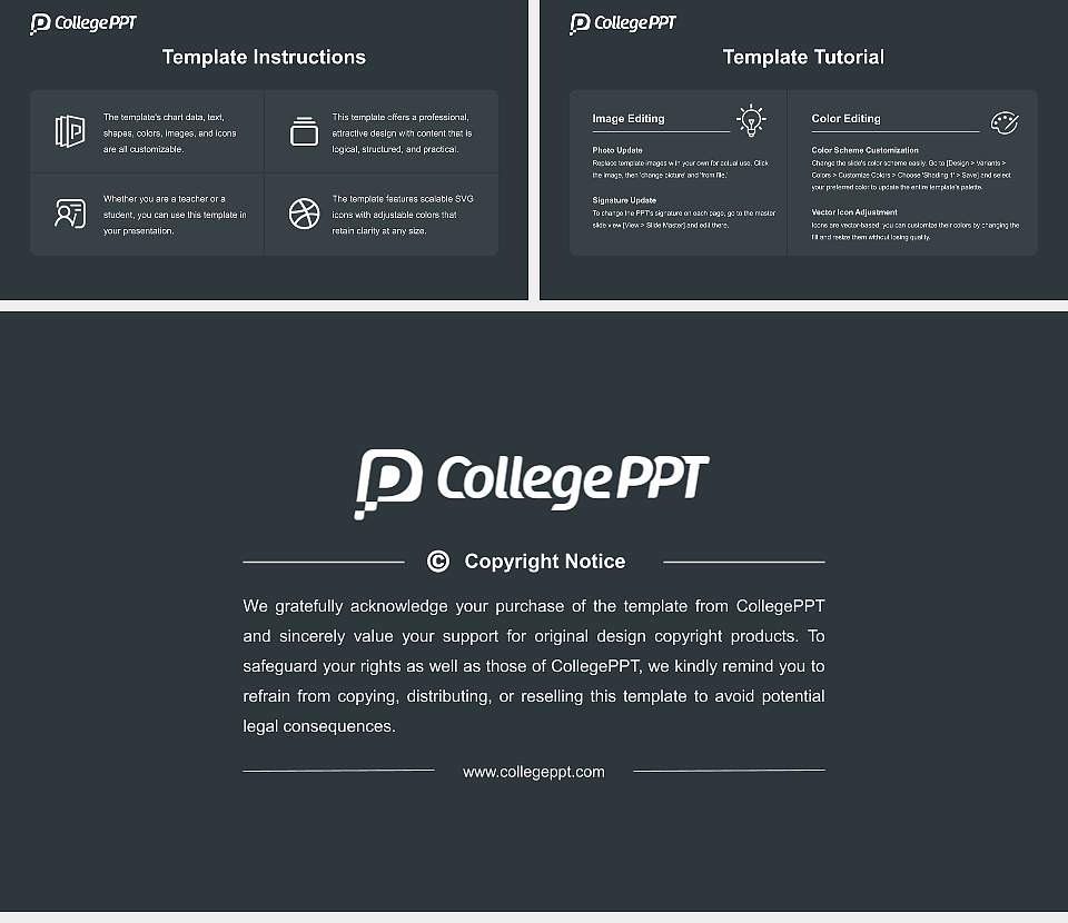 University of Basel Academic Presentation/Research Findings Report PPT Template16:9 ratio PPT effect preview image5