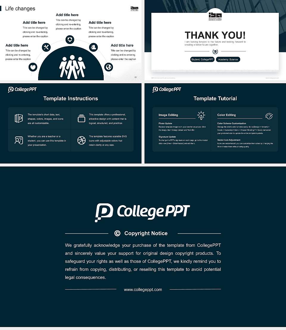 IBA International Business Academy National Scholarship Defense PPT Template16:9 ratio PPT effect preview image4