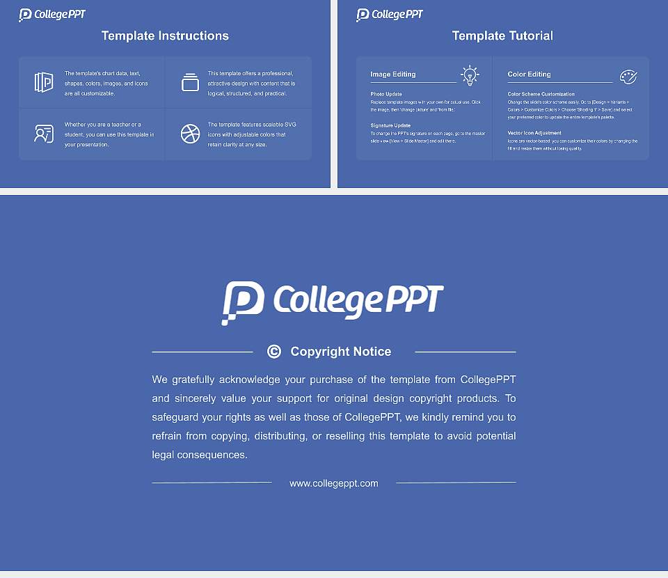 Copenhagen Business School Academic Presentation/Research Findings Report PPT Template16:9 ratio PPT effect preview image5