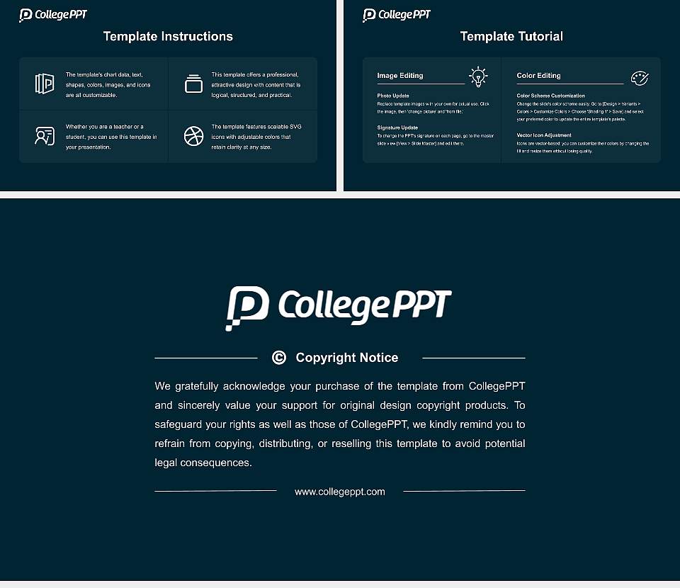 IBA International Business Academy Academic Presentation/Research Findings Report PPT Template16:9 ratio PPT effect preview image5