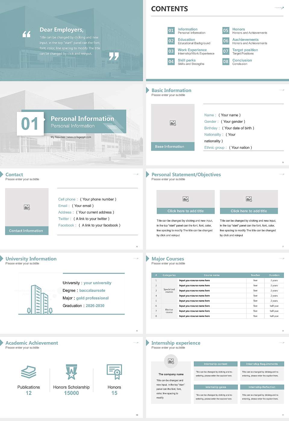 Business Academy Aarhus Resume PPT Template16:9 ratio PPT effect preview image2