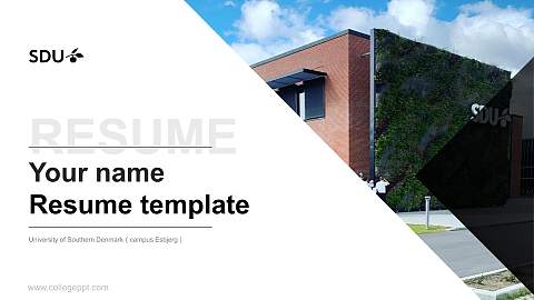 University of Southern Denmark（campus Esbjerg） Resume PPT Template
