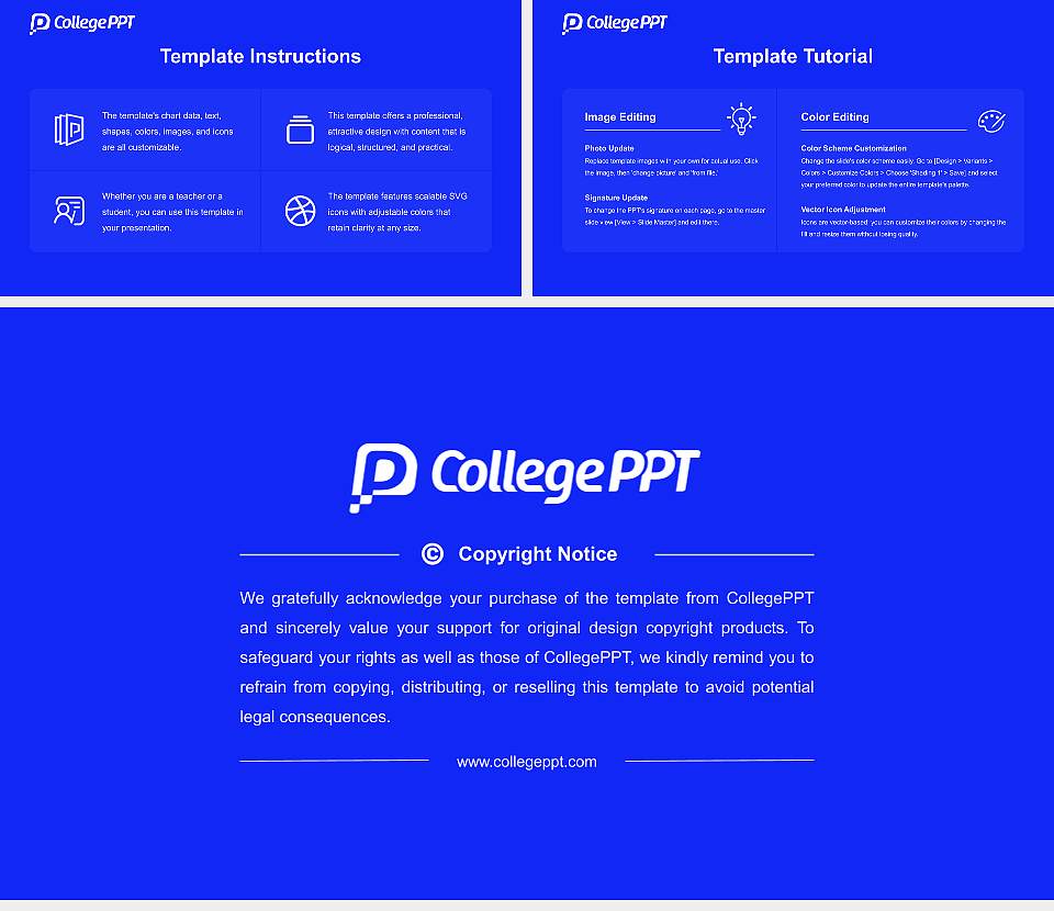 Copenhagen Business Academy Academic Presentation/Research Findings Report PPT Template16:9 ratio PPT effect preview image5