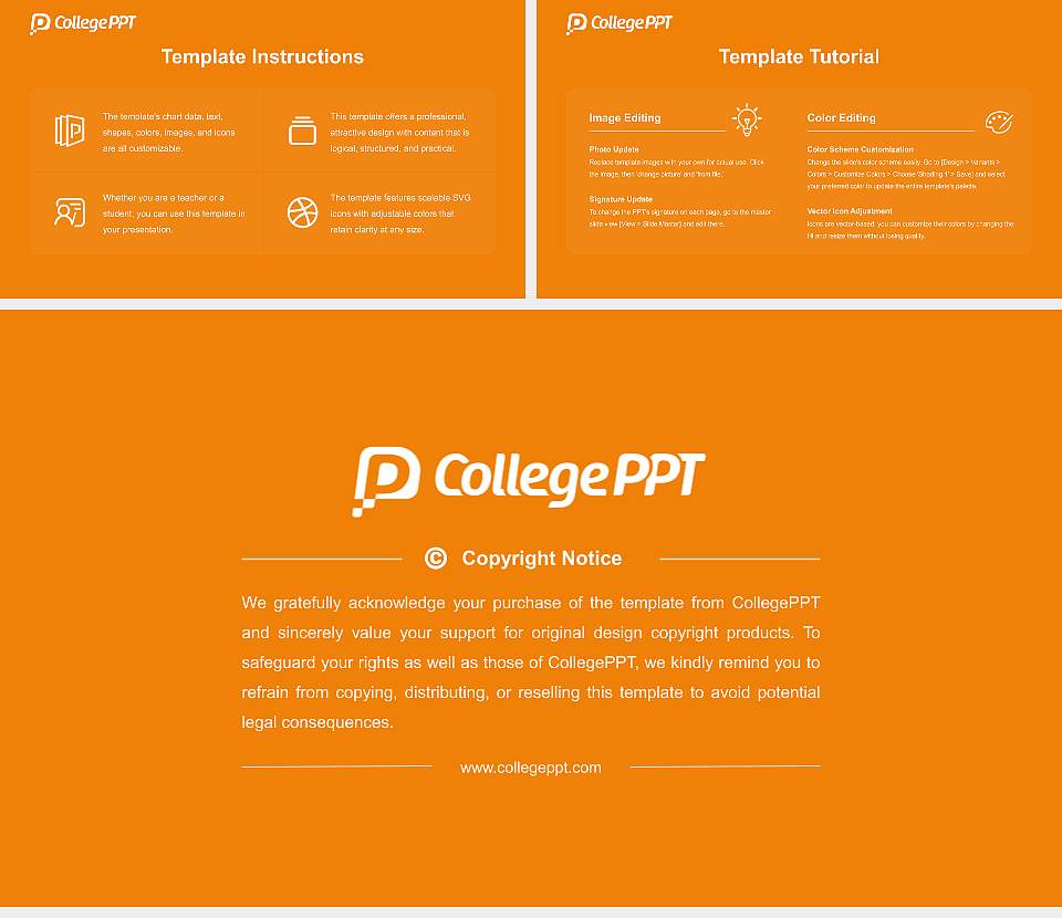 University of Perpignan Via Domitia Course/Courseware Creation PPT Template16:9 ratio PPT effect preview image5