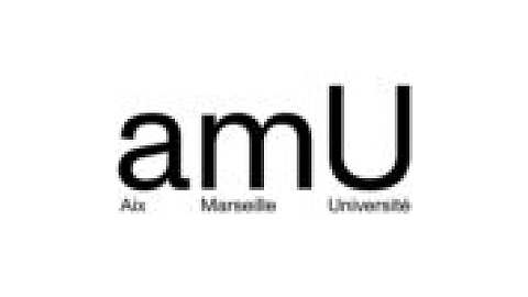 Aix-Marseille University