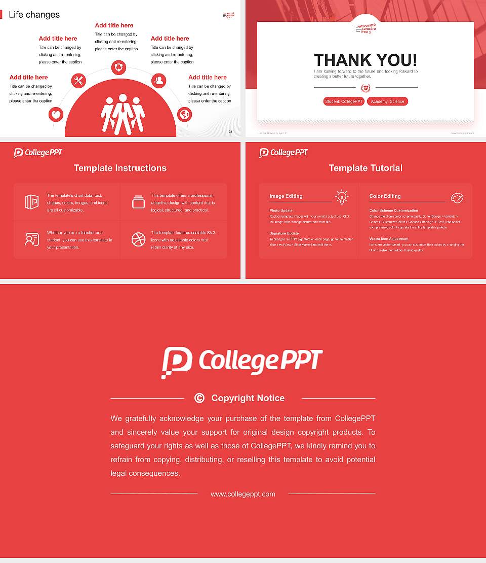 Lumière University Lyon 2 National Scholarship Defense PPT Template16:9 ratio PPT effect preview image4