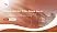 Le Havre Normandy University Lecture Sharing and Networking Event PPT Template