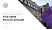 Catholic University of Paris Resume PPT Template