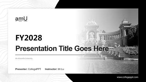 Aix-Marseille University Academic Presentation/Research Findings Report PPT Template