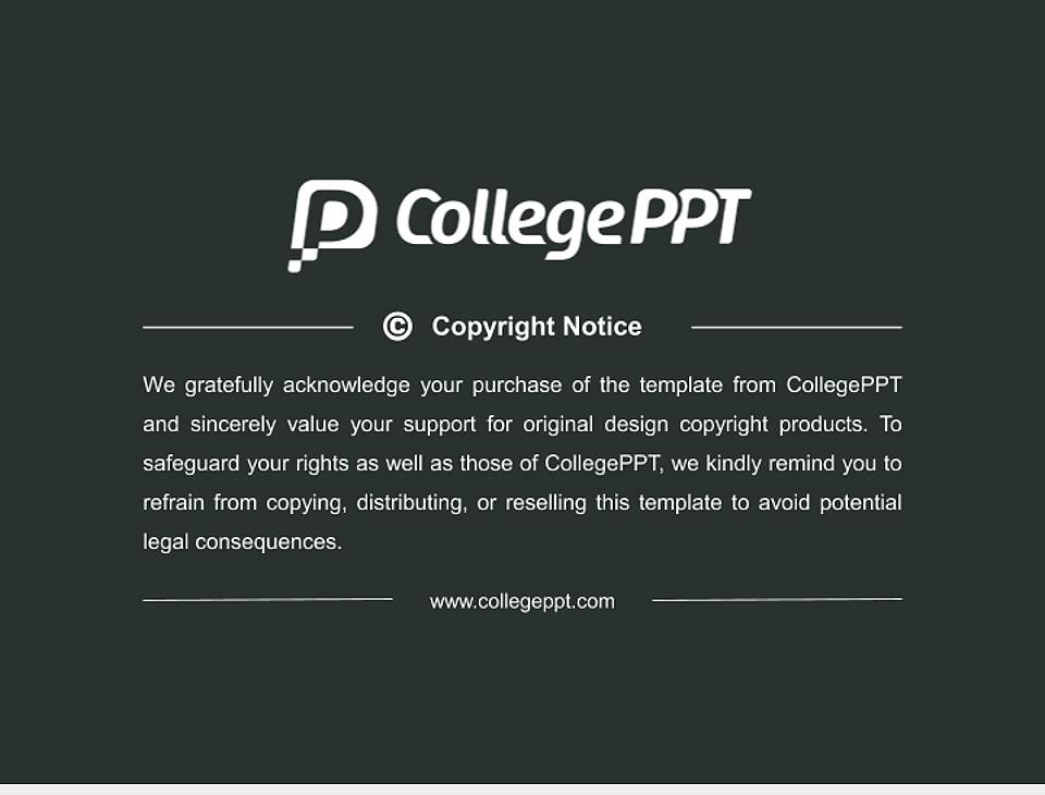 Wismar University of Applied Sciences：Technology, Business and Design Resume PPT Template4:3 ratio PPT effect preview image5