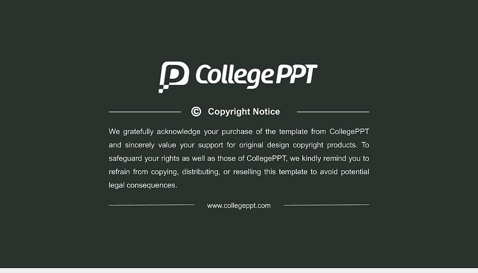 Wismar University of Applied Sciences：Technology, Business and Design Resume PPT Template16:9 ratio PPT effect preview image5