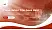 University of Public Administration Bremen Lecture Sharing and Networking Event PPT Template