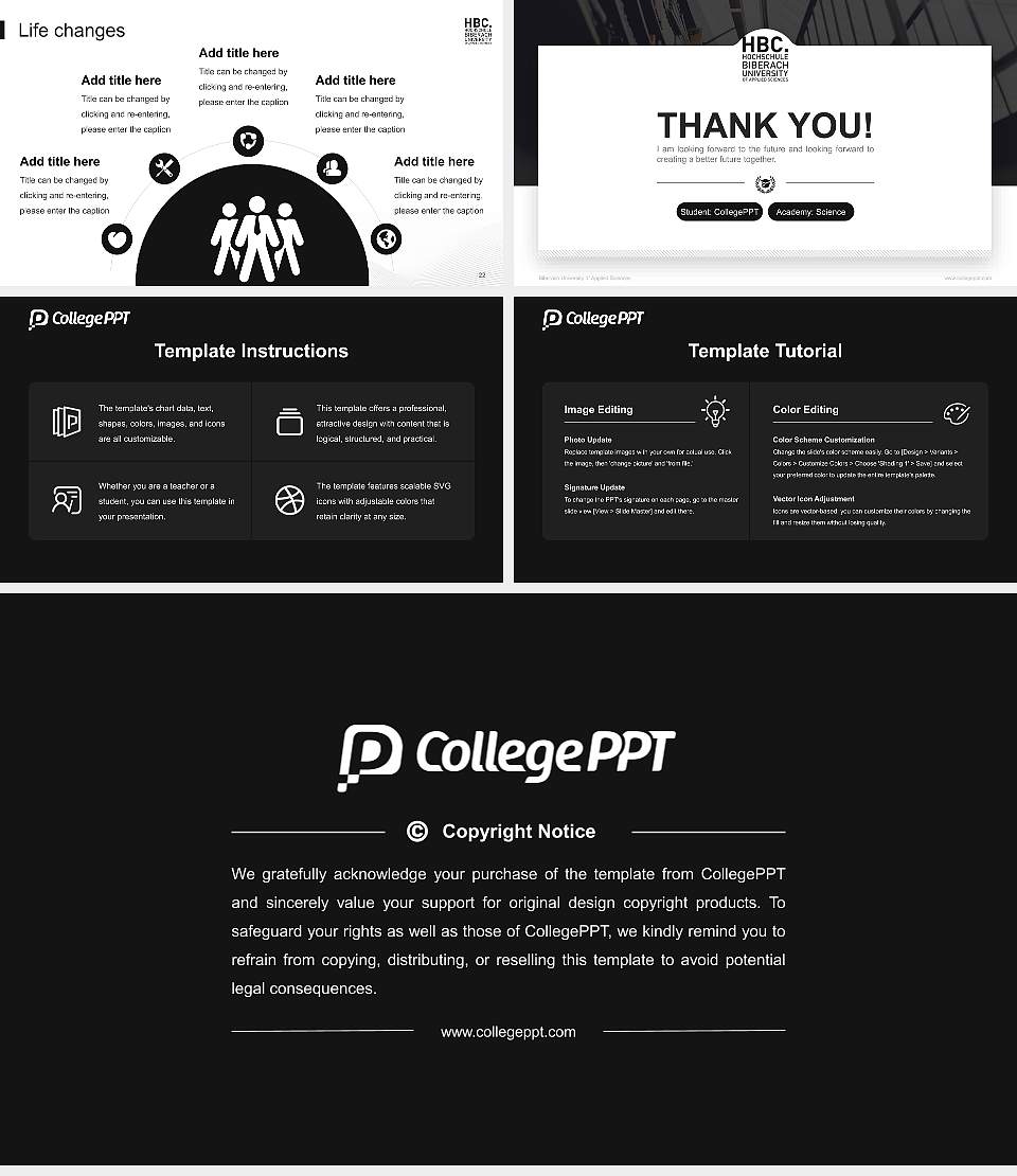 Biberach University of Applied Sciences National Scholarship Defense PPT Template16:9 ratio PPT effect preview image4