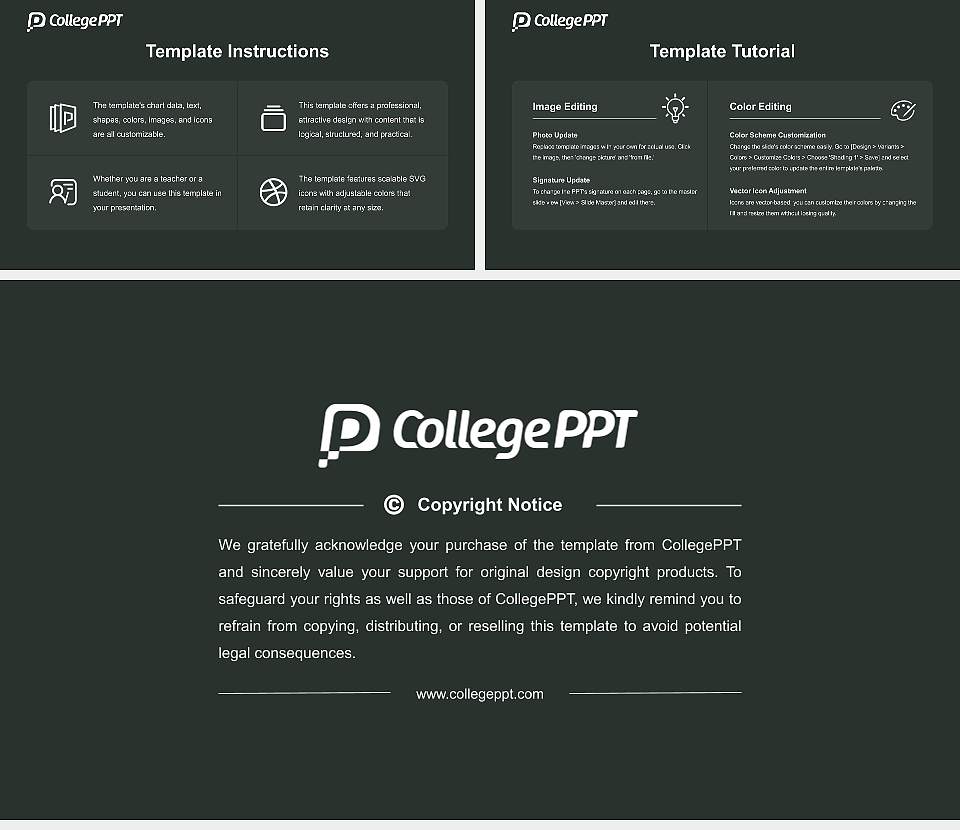 Wismar University of Applied Sciences：Technology, Business and Design Course/Courseware Creation PPT Template16:9 ratio PPT effect preview image5