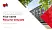 Baden-Württemberg Cooperative State University Resume PPT Template