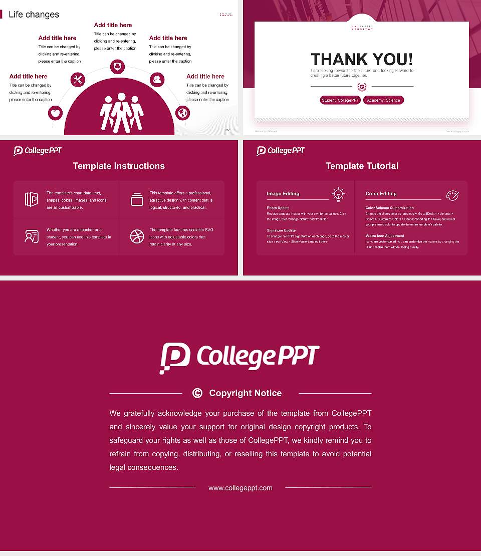 University of Kassel National Scholarship Defense PPT Template16:9 ratio PPT effect preview image4