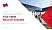 Baden-Württemberg Cooperative State University – Friedrichshafen campus Resume PPT Template