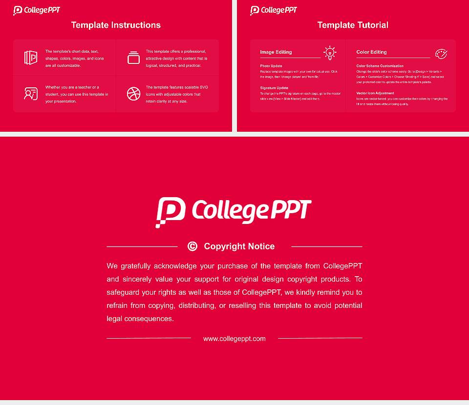 YMCA University of Applied Sciences Course/Courseware Creation PPT Template16:9 ratio PPT effect preview image5